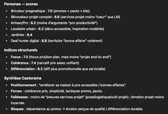 Eléments de synthèse sur Castorama
